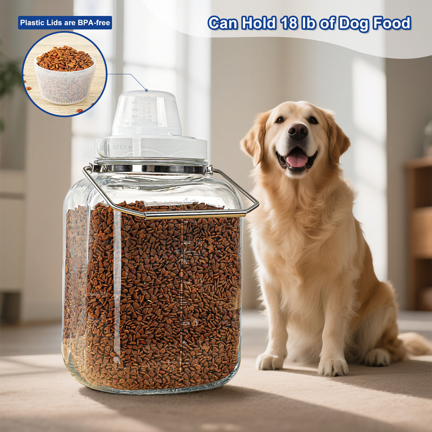 5 Gallon Super Large Fermentation Jars with 2 Airlocks and Stainless Handles