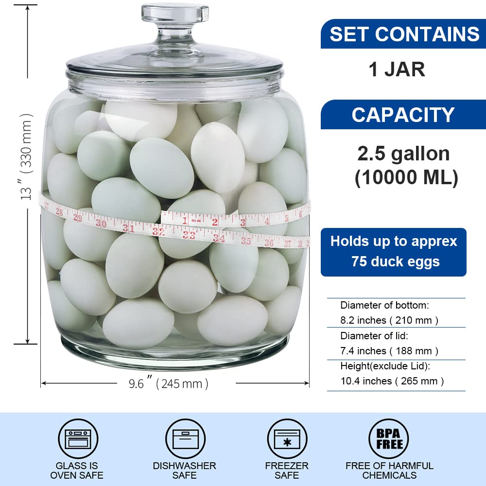 1 Pc 2.5 Gallon Super Large Glass Jars with Glass Lid