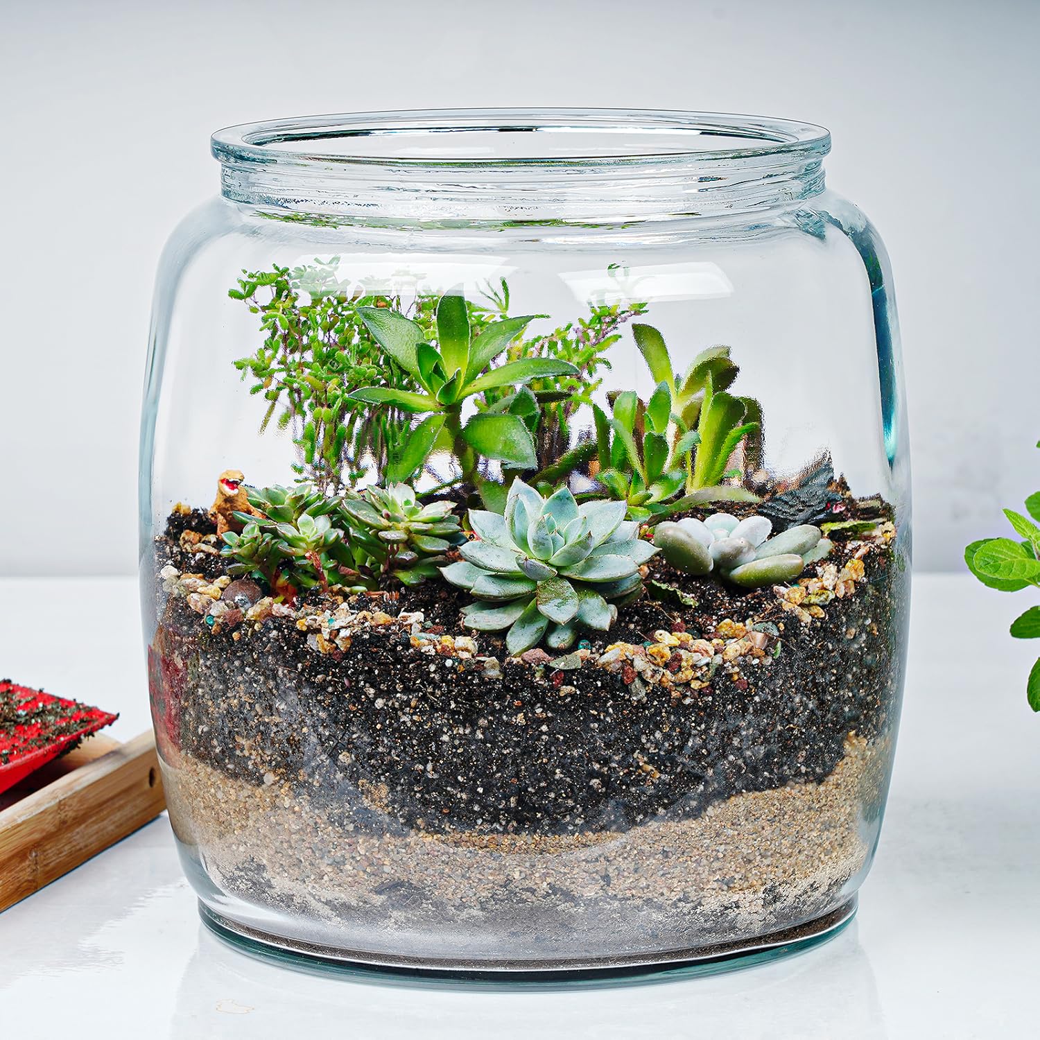 1 Pc 2.5 Gallon Super Large Glass Jars with Glass Lid