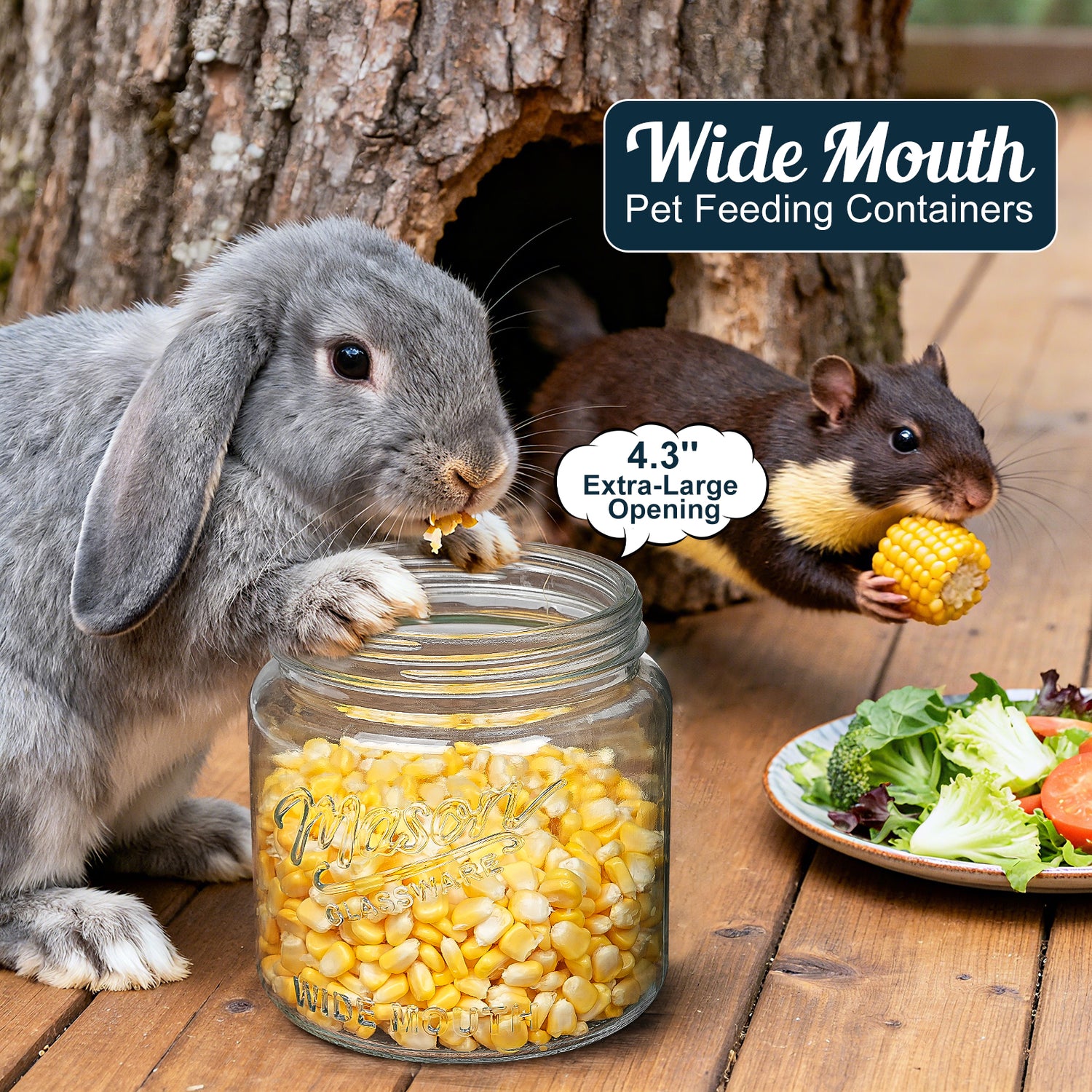 2 Pc 64oz Storage Mason Jar with Airtight Screw Lid