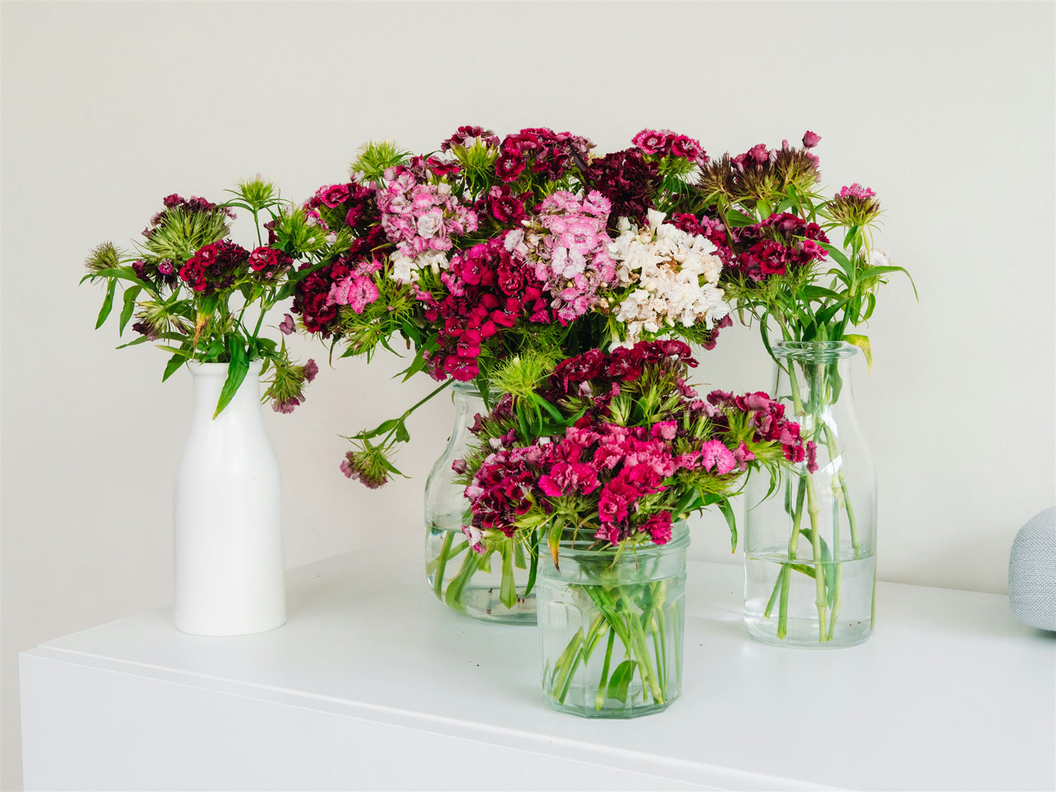 How to Pick a Suitable Vase for Your Flowers