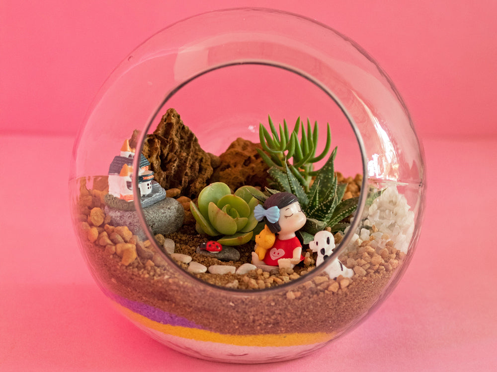 Gallery of Terrarium Decoration