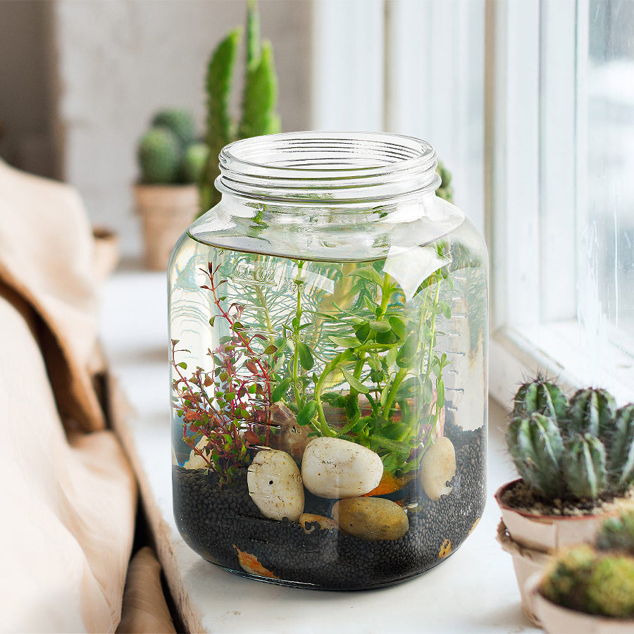 Terrariums