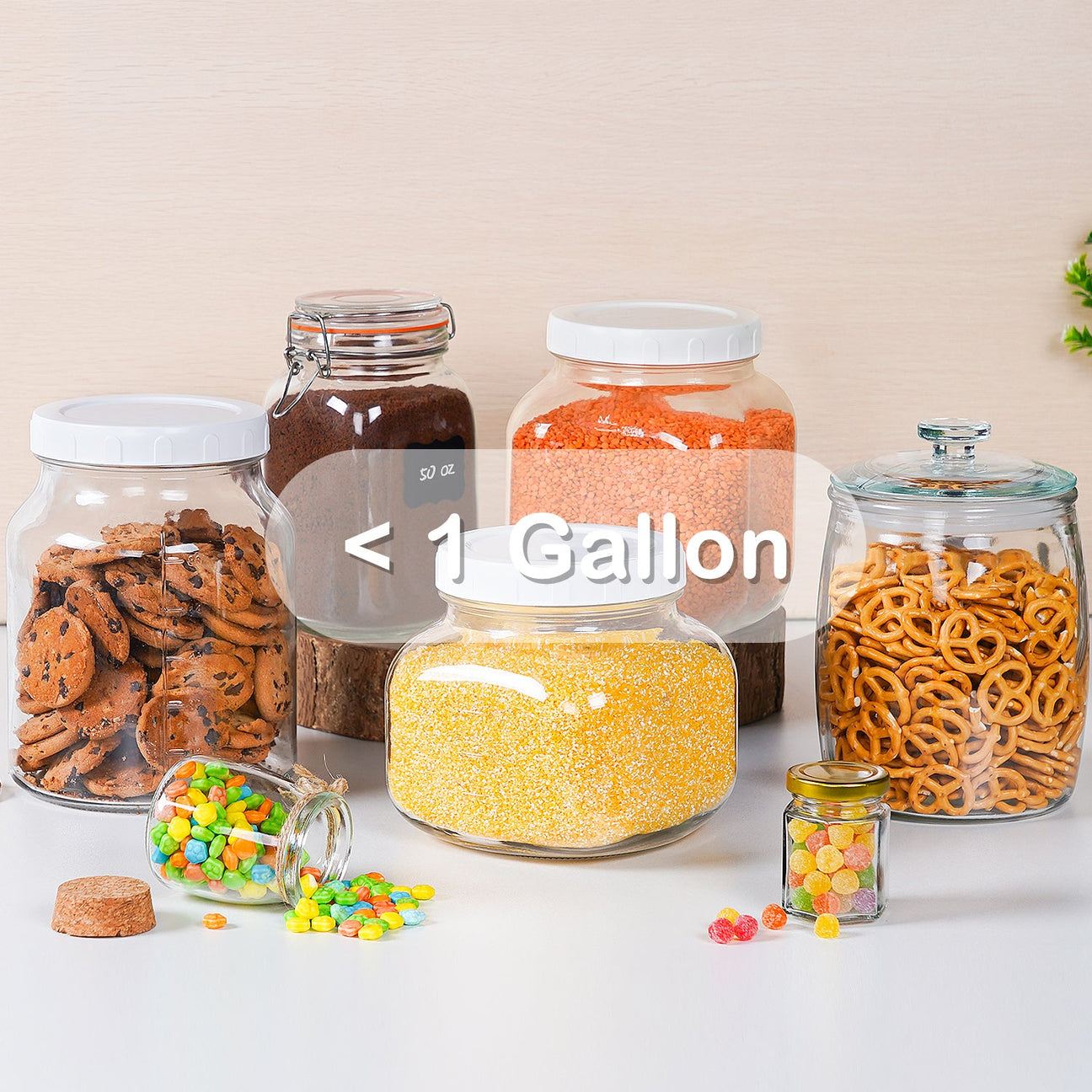 ＜ 1 Gallon