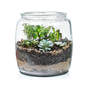 Terrarium