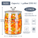 2 Pcs 1 Gallon Super Wide Mouth Mason Jar with Airtight Glass Lid