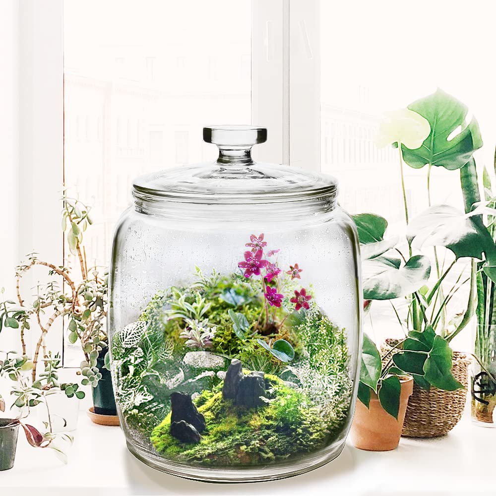 2.5 Gallon Super Large Glass Jars with Lids