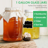 2 Pcs 1 Gallon Round Glass Jar with Airtight Screw Lid