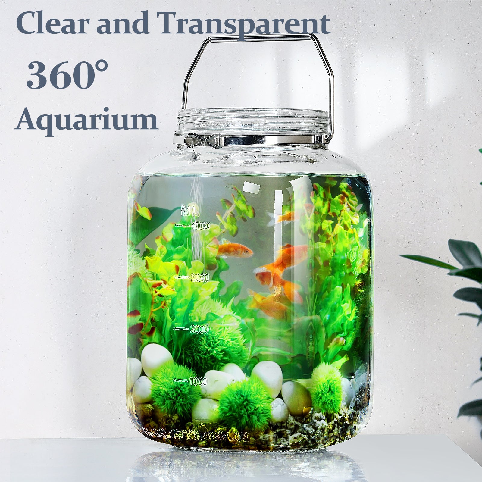 2 Pcs 1.5 Gallon Square Glass Jar with Removable Handles & Airtight Screw Lids