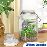 5 Gallon Wide Mouth Airtight Glass Storage Jars with Stainless Steel Handle