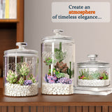 2 Pcs 1.5 Gallon Super Large Cylindrical Glass Jar with Airtight Glass Lid