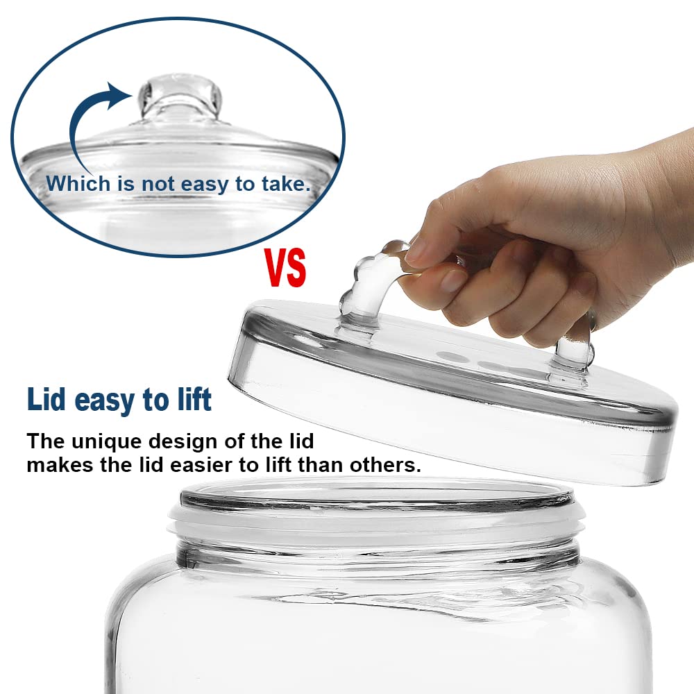 3 Gallon Super Wide Mouth Glass Jars with Glass Lid – Syntic