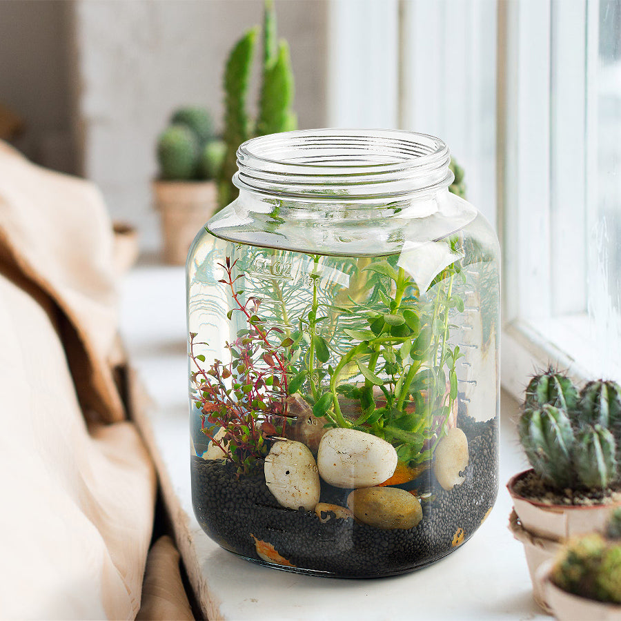 1 Gallon Wide Mouth Glass Jar with ExtraTag and Marker Pen