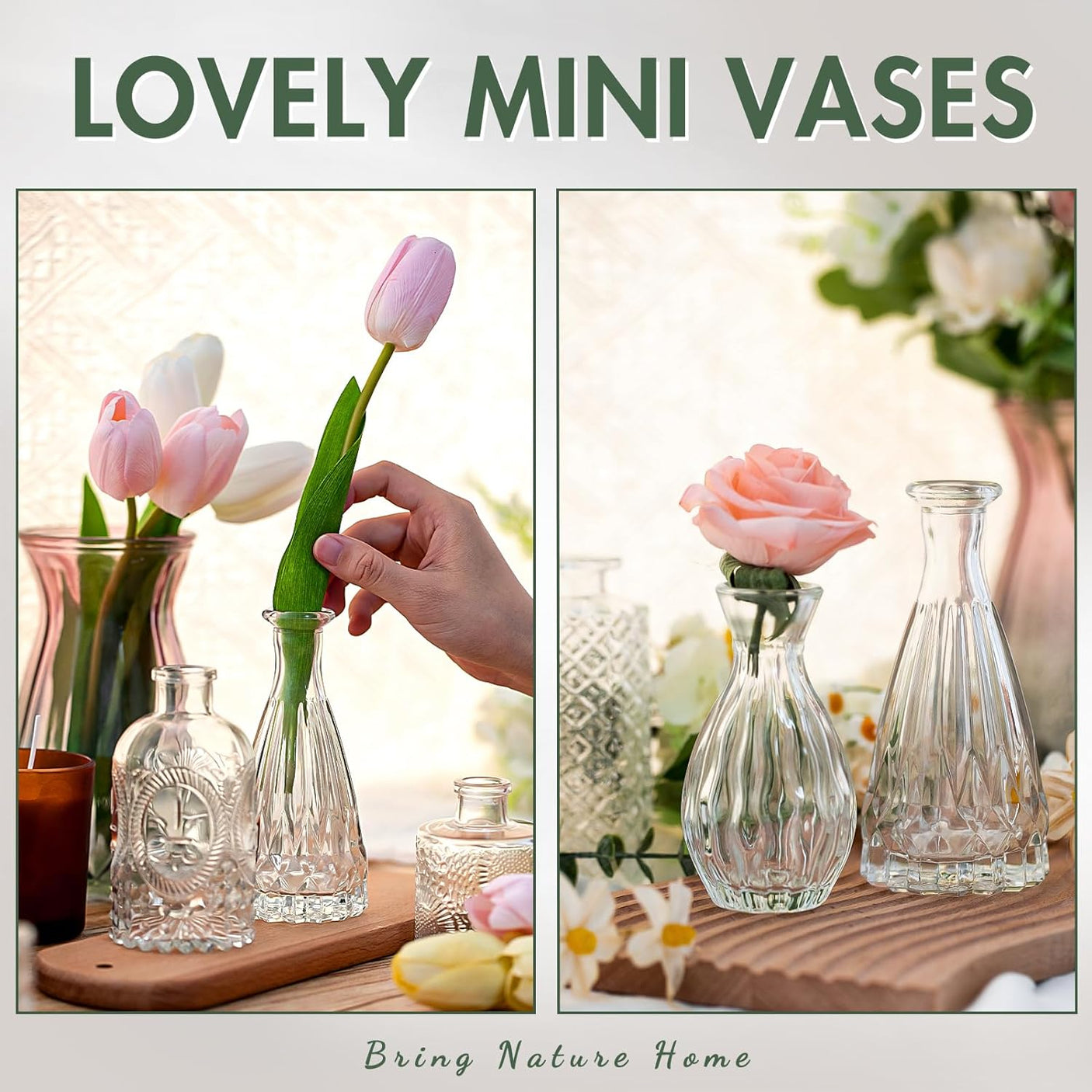 20 Pcs Glass Bud Vase Set