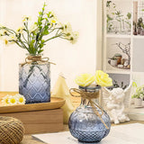 30 Pcs Glass Bud Vase Set